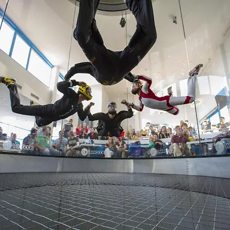 Basic Comfort Gran Reserva 0073